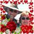 Ken Campbell's profile image