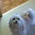 Darlene Jean Wheasler's profile image