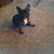 Liz Borda's profile image
