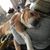 Olivia C. Hammer's profile image