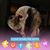 Donna Kleene's profile image