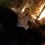 Ashraf Hassanin's profile image