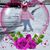Donna Lomis's profile image