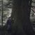 Polly-Anna Gregory's profile image