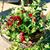 Sheila Keen Prosser's profile image