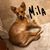 Kristina Smith's profile image