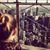 Susan Partain Turner's profile image
