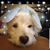 Brenda Naugle's profile image