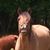 Beth Bortvit's profile image