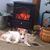 Brenda Libbey's profile image