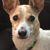 Tammie Hopper's profile image