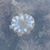Mary Heim Wilkie's profile image