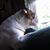 Darcy Traxler's profile image