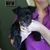 Lanette Scapillato's profile image