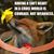 Teri Harding's profile image