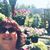 Lyn Petersen's profile image