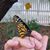 Rachel Gamber's profile image