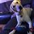 Krissy Caracciolo's profile image