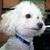 R Deneen Griffin-Foster's profile image