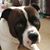 Robin Richcreek's profile image