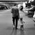 Jenny Lee's profile image