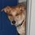 Daisy Hanke's profile image
