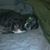 Misty Lee's profile image