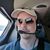 Michael Lyle's profile image