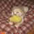 Van Vlack Jill's profile image
