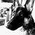 Eric Daniels's profile image