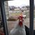 Amy Meltun's profile image