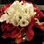 Danguole Garcia's profile image