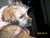 Sue H.'s profile image