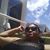Monique Bass's profile image