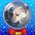 Martha Budell's profile image