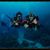 Erme Diver's profile image