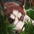 Sean Foytich's profile image