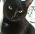 GinaGina Gina's profile image