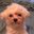 Michael Drury's profile image