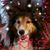 Shari Urang's profile image