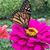 Susan McCormick's profile image
