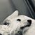Joan Wicks's profile image