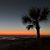 Lindy Musgrove Sawyers's profile image