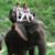 Julie Sigler McCreary's profile image