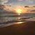 Lynn Buhrke's profile image