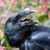 Norman Anderson's profile image