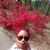 Antoinette Sykes Israel's profile image