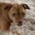 Heather Hartswick Pettner's profile image