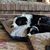 Gretchen Engelking Huff's profile image