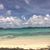 Michael Angeloni's profile image